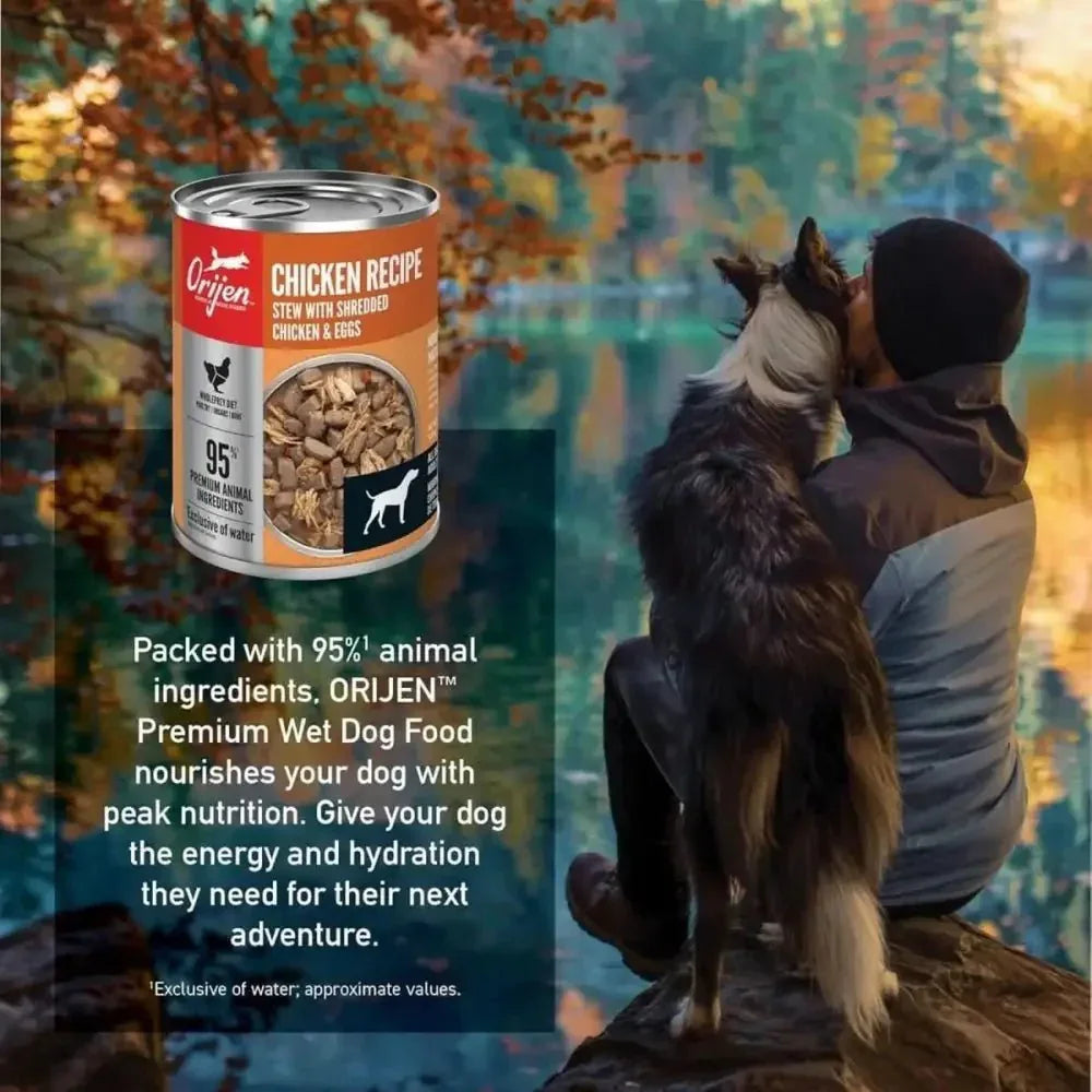 ORIJEN Real Meat Shreds Chicken & Eggs Recipe Stew Grain - Free Wet Dog Food 12ea/12.8 oz - Talis Us