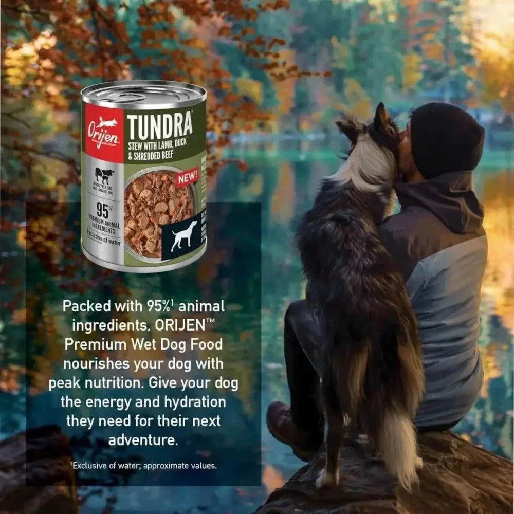 ORIJEN Real Meat Shreds Tundra Stew Grain - Free Wet Dog Food - Talis Us