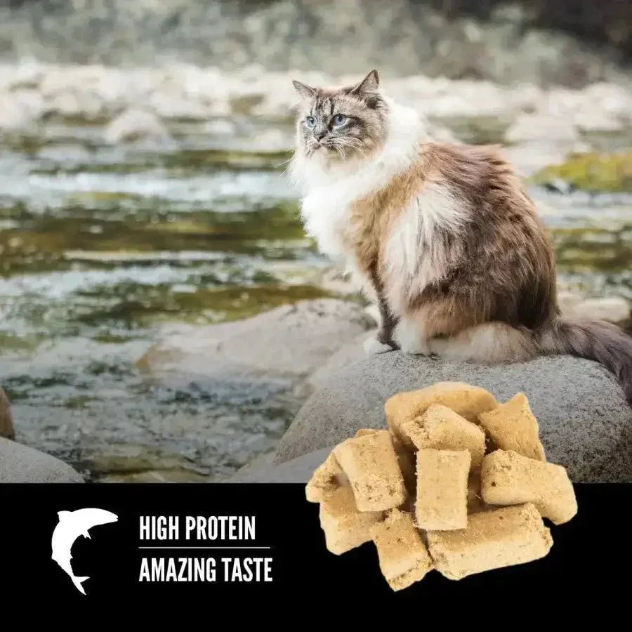 ORIJEN Six Fish Grain - Free Freeze - Dried Cat Treats 1.25 oz - Talis Us