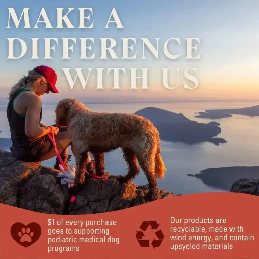 OTIS Wild Things Grass - Fed Bison Jerky Dog Treats 4oz - Talis Us