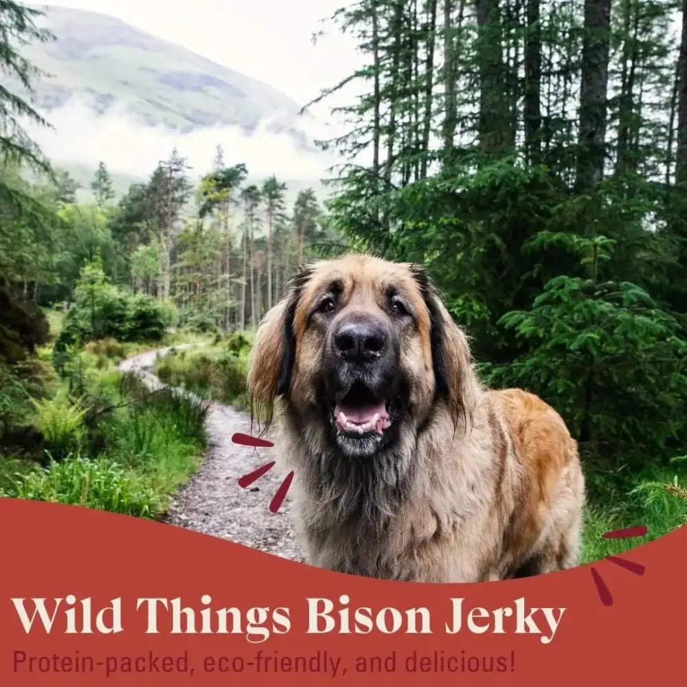 OTIS Wild Things Grass - Fed Bison Jerky Dog Treats 4oz - Talis Us