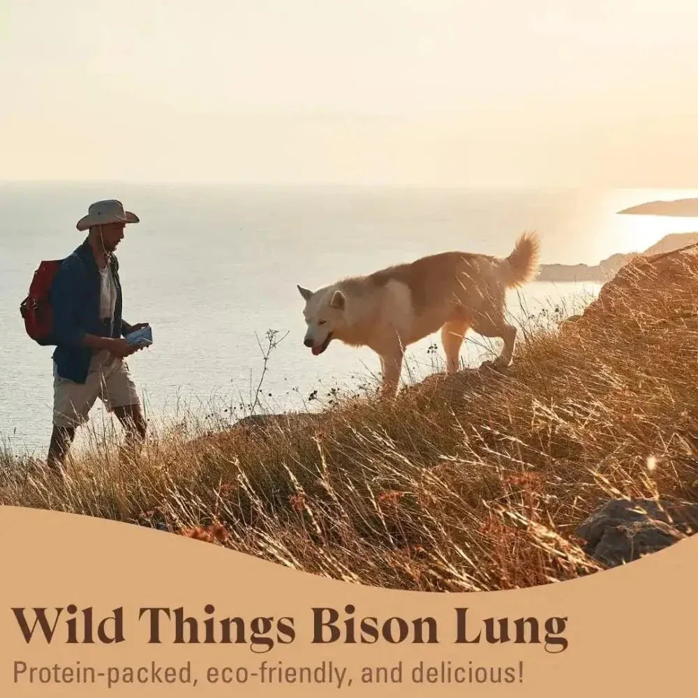OTIS Wild Things Grass - Fed Bison Lung Filets Dog Treats 4oz - Talis Us