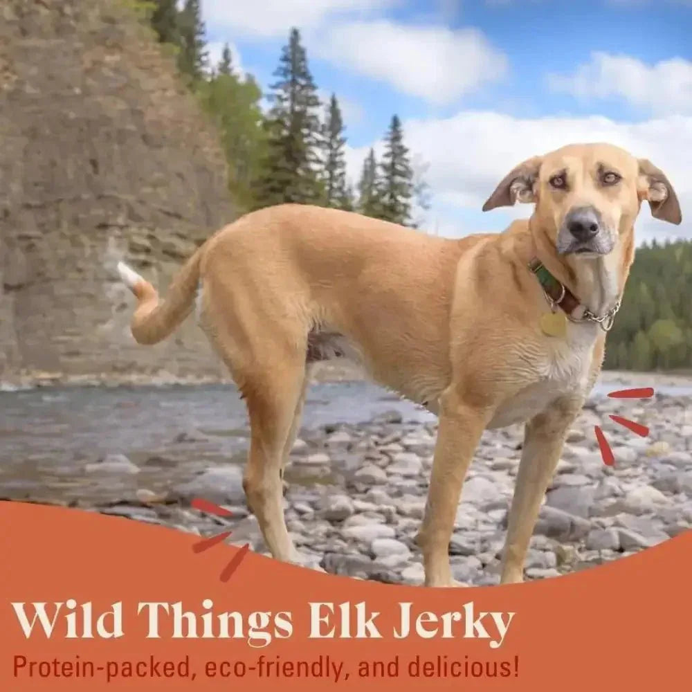 OTIS Wild Things Grass - Fed Elk Jerky Dog Treats - Talis Us