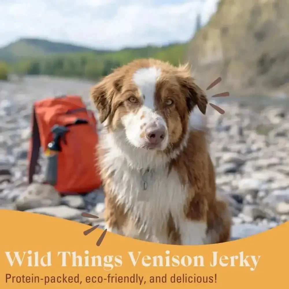 OTIS Wild Things Grass - Fed Venison Jerky Dog Treats 4oz - Talis Us