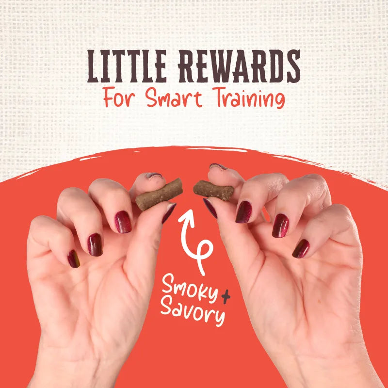 Talis Us Wholesomes Beef Sticks Dog Treats held between two hands, with text highlighting "Little Rewards for Smart Training.