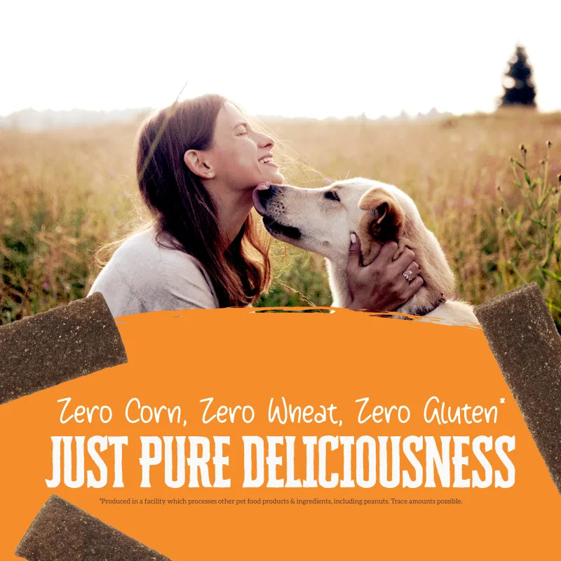Talis Us Wholesomes Chewy Chicken Dog Treats with a happy woman and dog in a field, featuring a bold orange label.