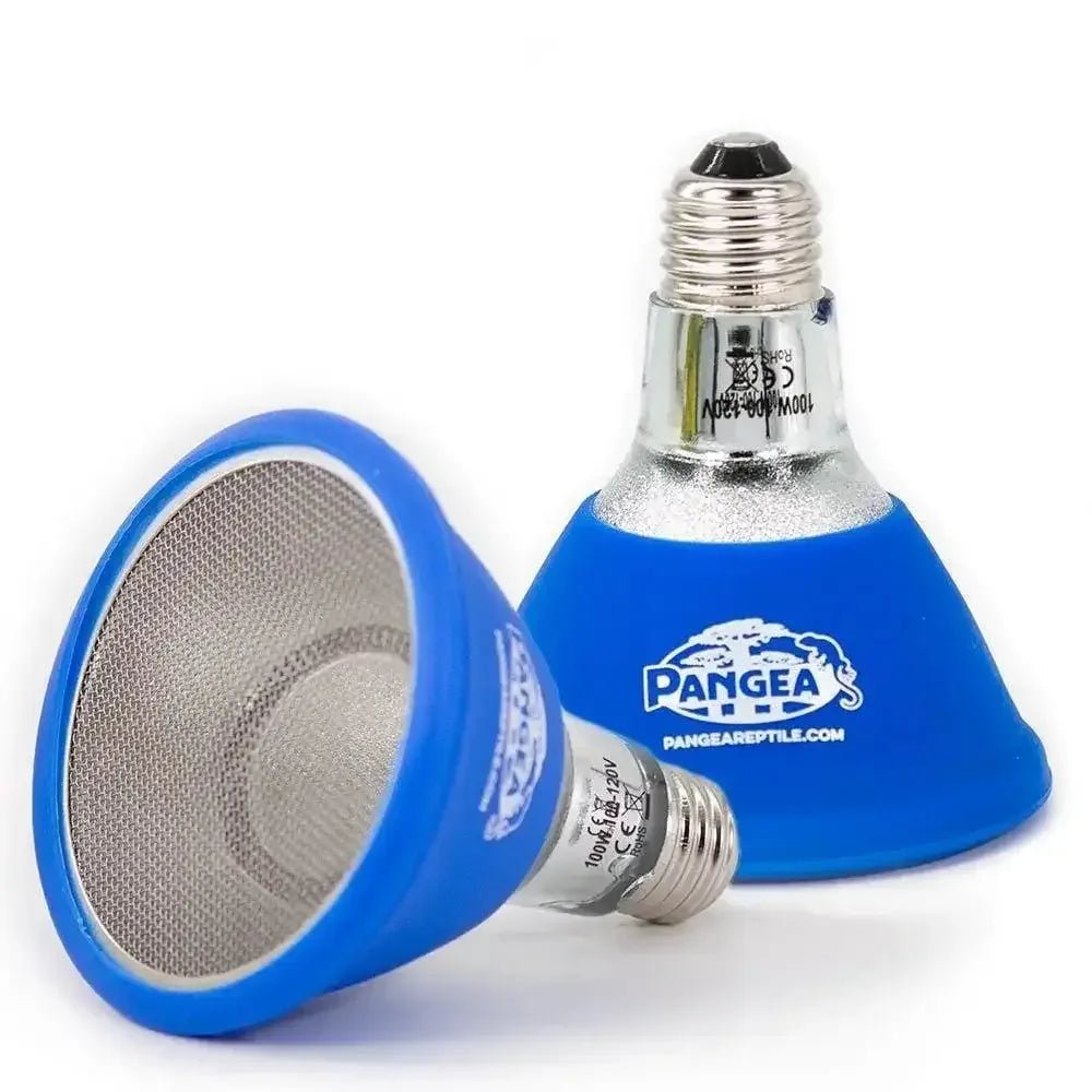 Pangea Deep Heat Projector for Reptiles - Talis Us