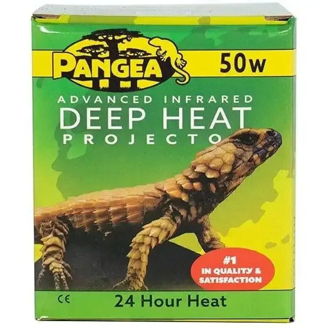 Pangea Deep Heat Projector for Reptiles - Talis Us