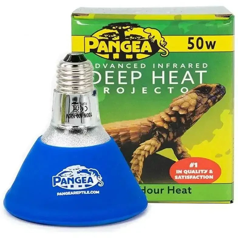 Pangea Deep Heat Projector for Reptiles - Talis Us