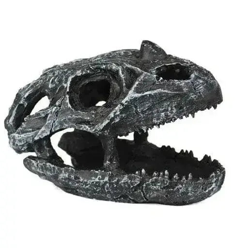 Pangea Dinosaur Skull Cave - Talis Us