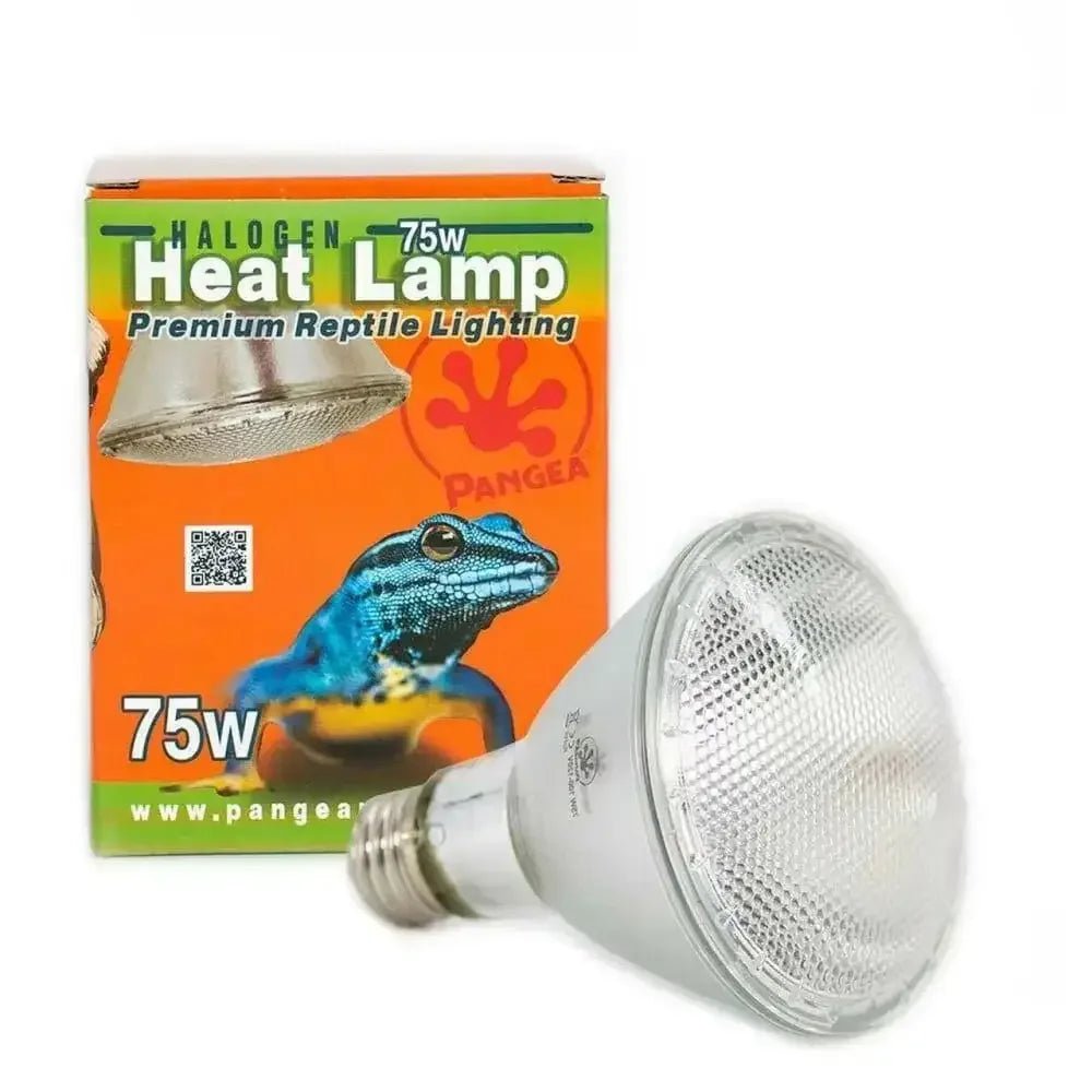 Pangea Halogen Heat Lamp - Talis Us