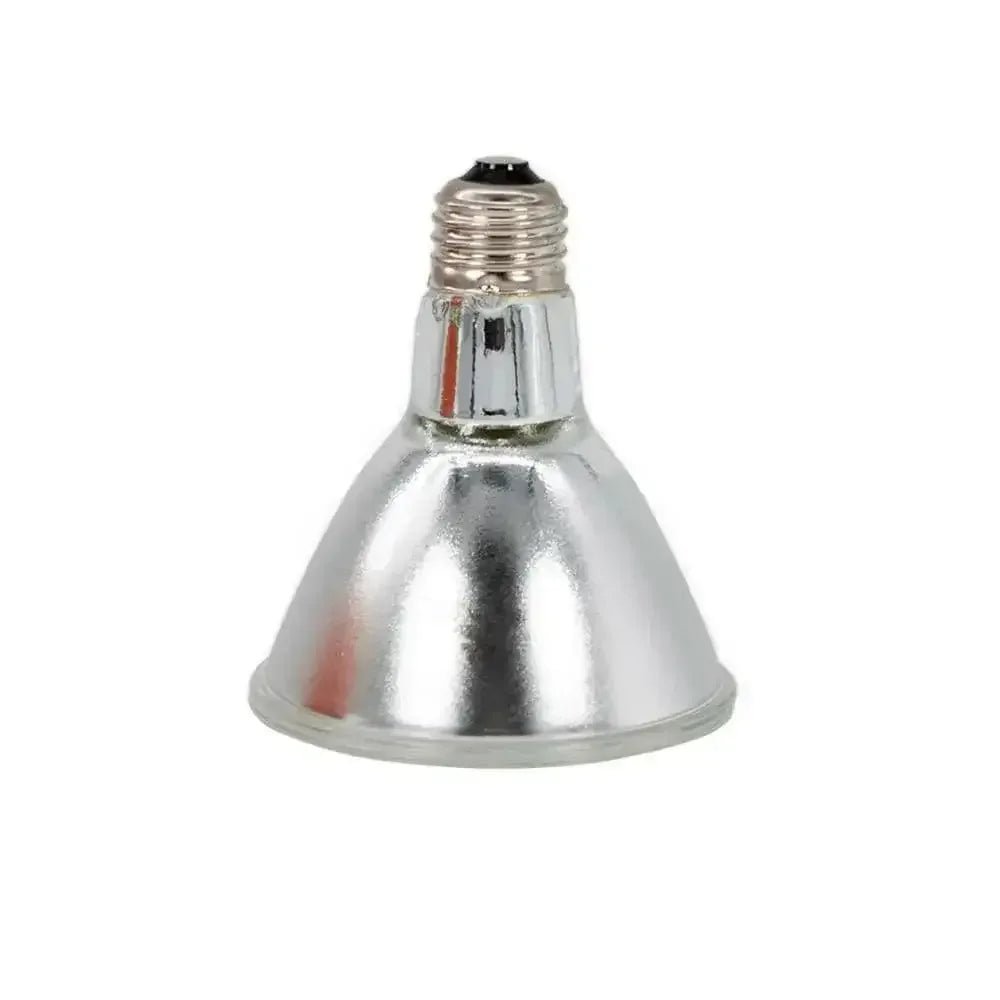 Pangea Halogen Heat Lamp - Talis Us