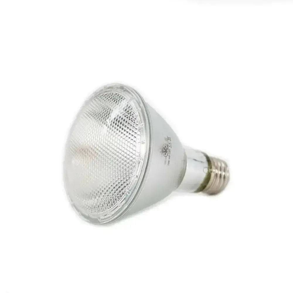 Pangea Halogen Heat Lamp - Talis Us
