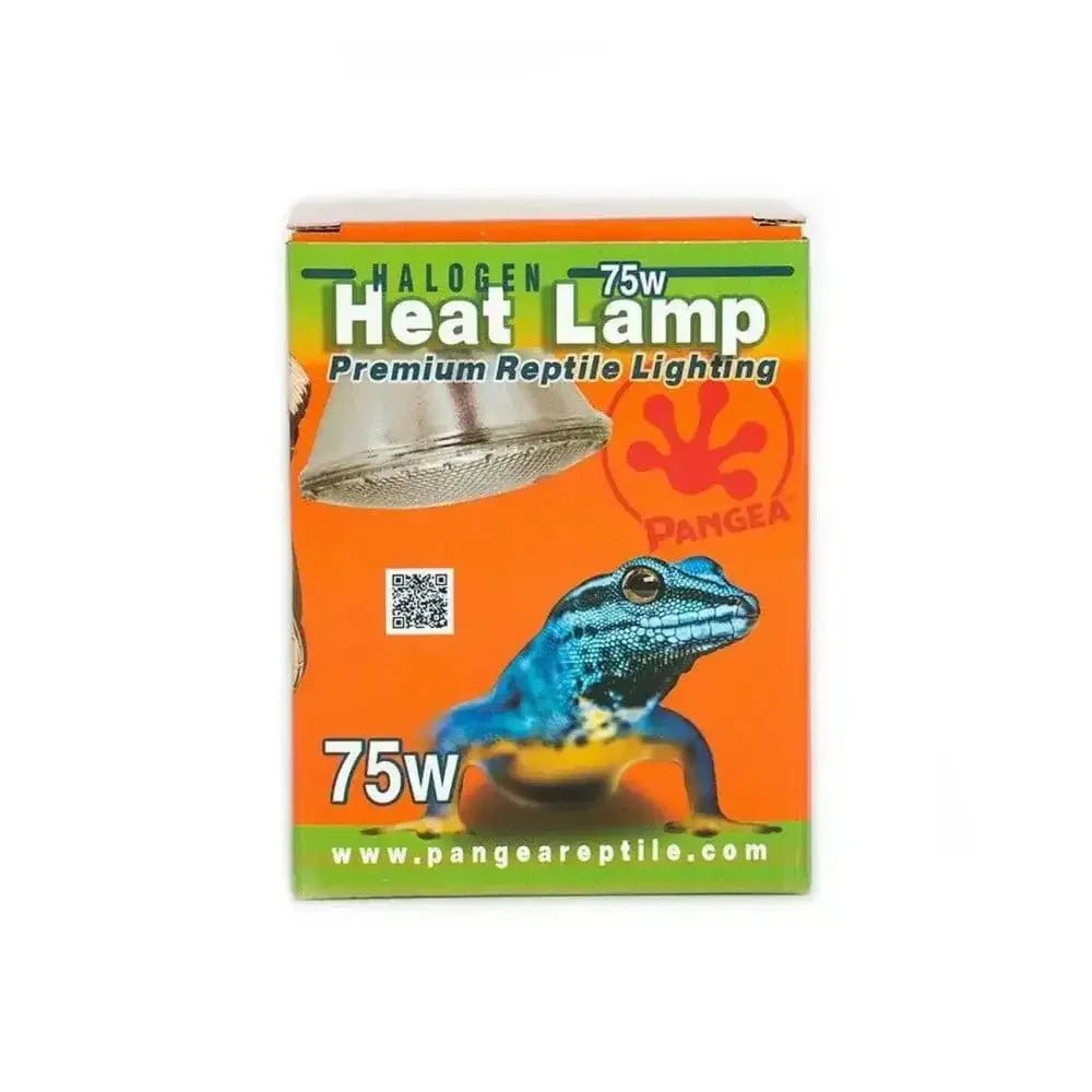 Pangea Halogen Heat Lamp - Talis Us