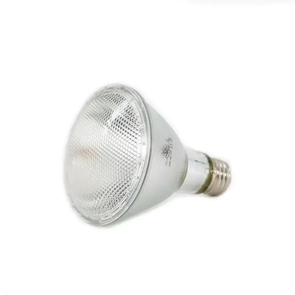 Pangea Halogen Heat Lamp Pangea