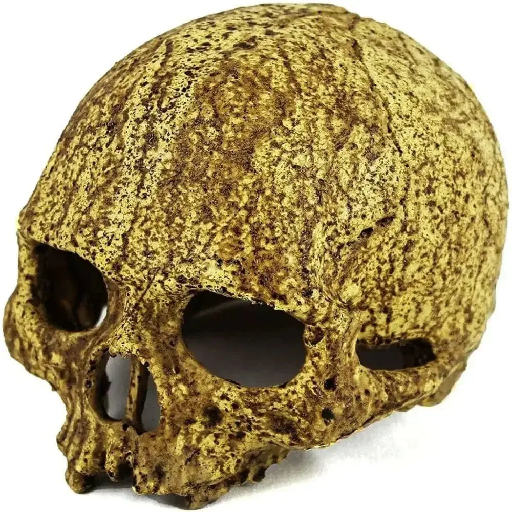 Pangea Human Skull Cave - Talis Us
