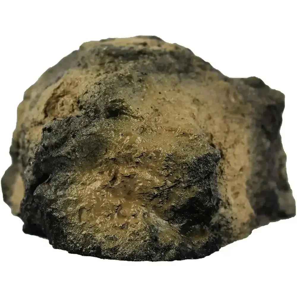 Pangea Medium Rock Cave - Talis Us