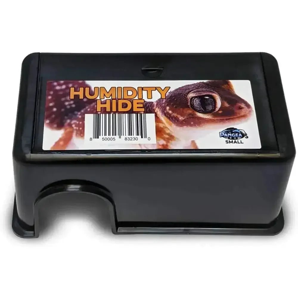Pangea Reptile Humidity Hide for Reptile Terrarium Habitat Small - Talis Us