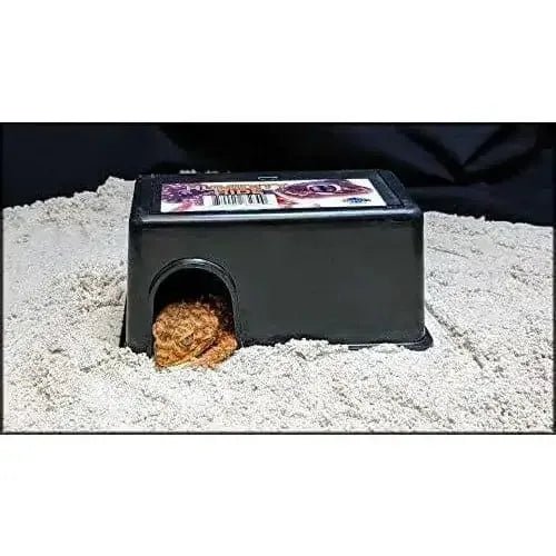 Pangea Reptile Humidity Hide for Reptile Terrarium Habitat Small - Talis Us