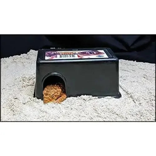 Pangea Reptile Humidity Hide for Reptile Terrarium Habitat Small Pangea