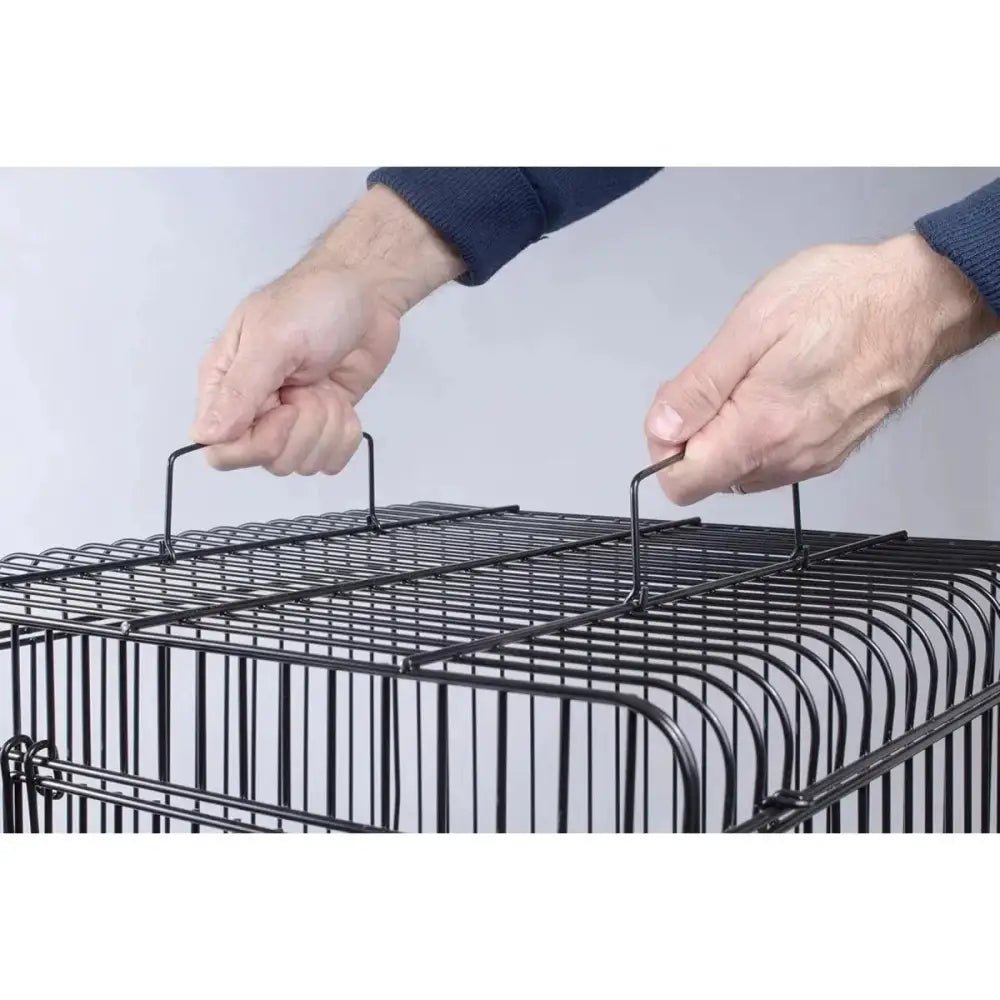 PENN - PLAX Conure & Small Parrot Starter Kit with Birdcage - Talis Us