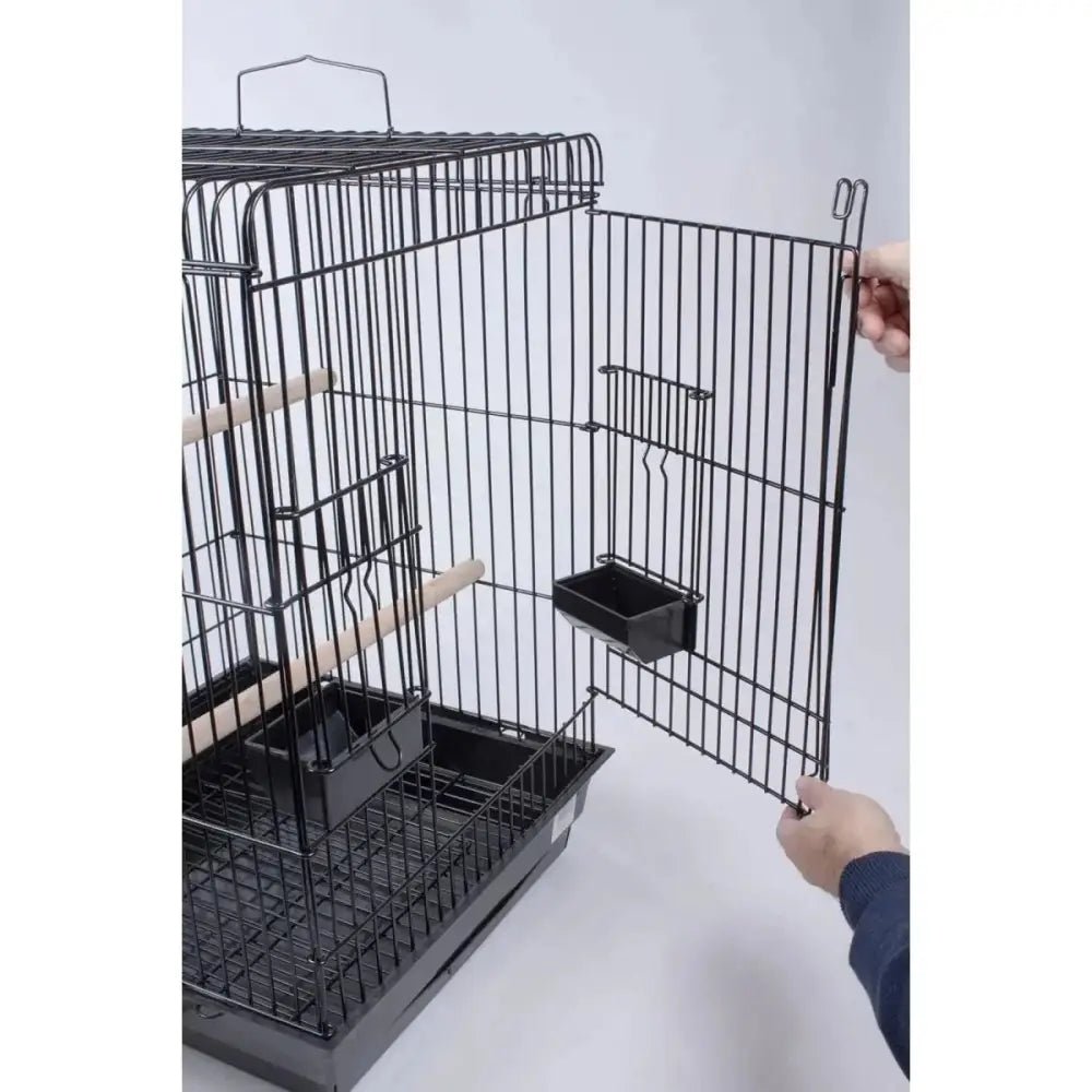 PENN - PLAX Conure & Small Parrot Starter Kit with Birdcage - Talis Us