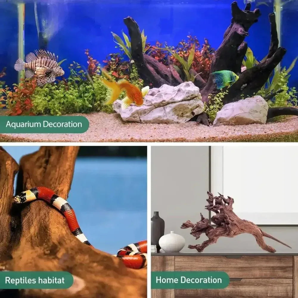 Penn Plax Natural Driftwood for Aquarium Decor Branch Decorations for Reptile Tank - Talis Us