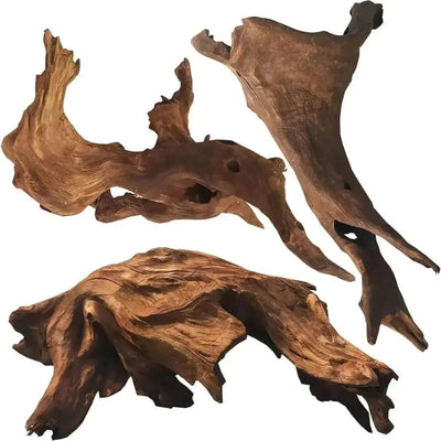 Penn Plax Natural Driftwood for Aquarium Decor Branch Decorations for Reptile Tank - Talis Us