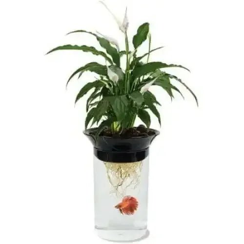Penn Plax Nature's Aqua - Ponic Planter & Fish Habitat - Talis Us