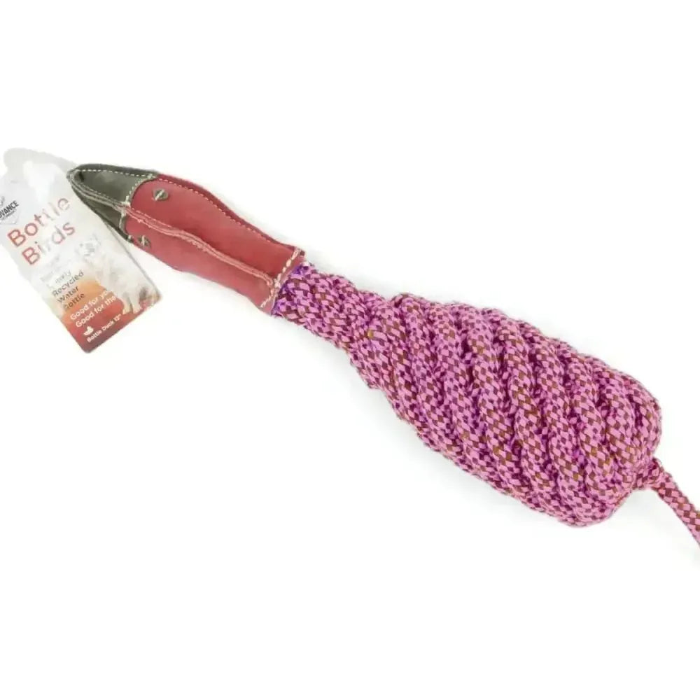 Pet - Safe Bird Toys for Dogs Made from Recycled Materials - Talis Us