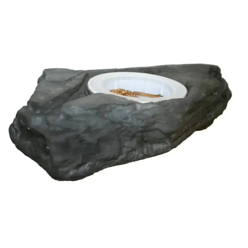 Pet - Tekk Worm Feeder Ledge for Reptiles Habitat Accessory - Talis Us