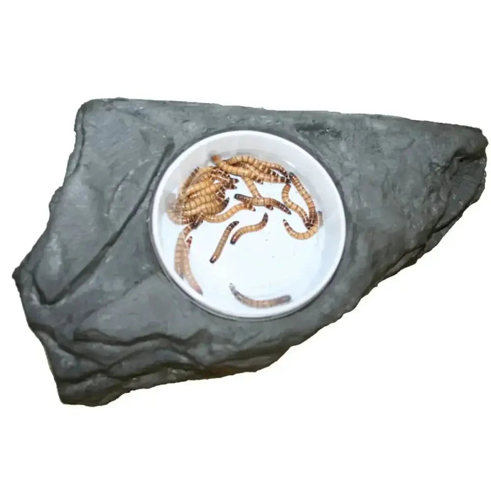 Pet - Tekk Worm Feeder Ledge for Reptiles Habitat Accessory - Talis Us