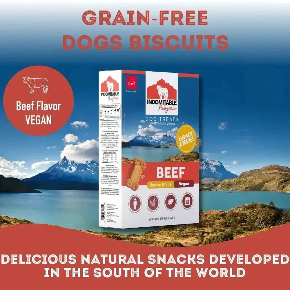 Pet Treatery Indomitable Beef Grain - Free Everyday Dog Biscuits 16.2 oz./460 gm - Talis Us