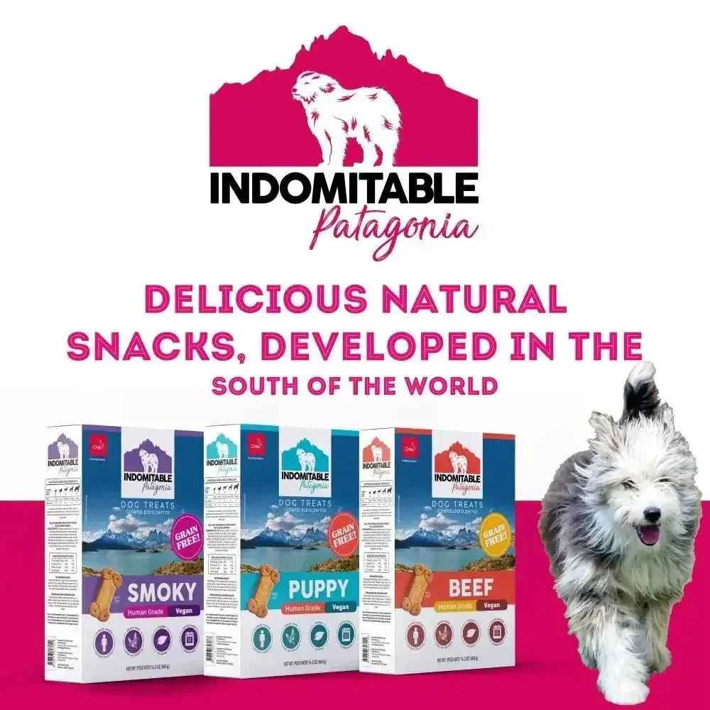Pet Treatery Indomitable Puppy Grain Free Everyday Biscuits for Dogs 16.2 oz./460 gm - Talis Us