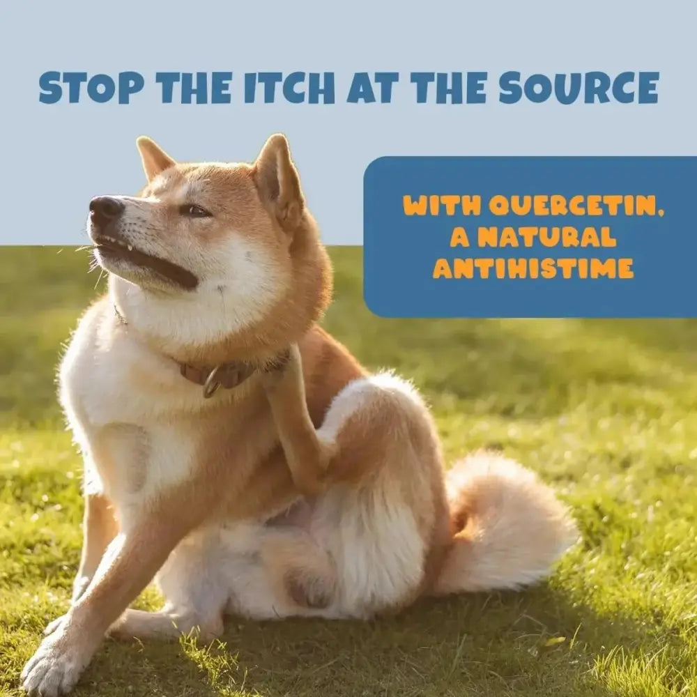 PETIPET Allergy + Immunity with Quercetin & Omega 3 Apple & Carrot Flavored Soft Chew Allergy Supplement for Dogs 7oz - Talis Us