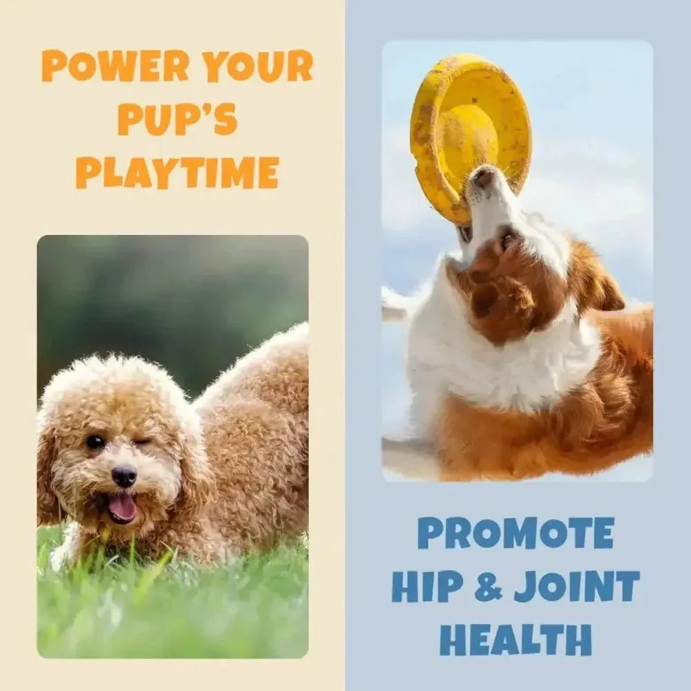 PETIPET Allergy + Immunity with Quercetin & Omega 3 Apple & Carrot Flavored Soft Chew Allergy Supplement for Dogs 7oz - Talis Us