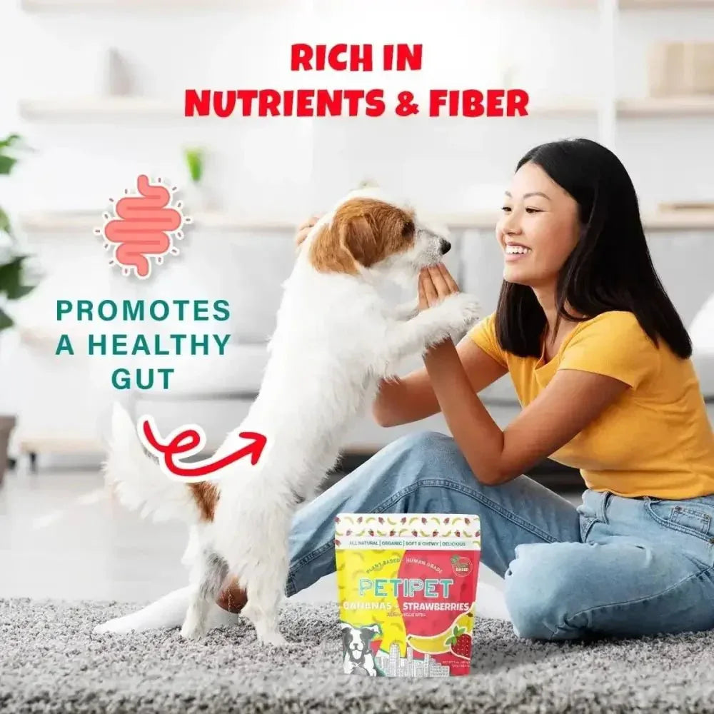 PETIPET Bananas + Strawberries Bites Soft & Chewy Dog Treats 5 oz - Talis Us