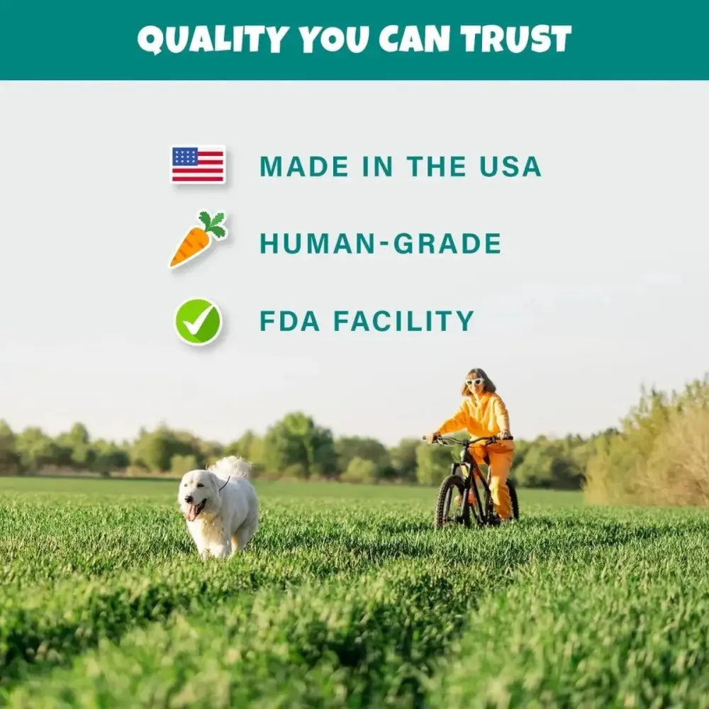 PETIPET Bananas + Strawberries Bites Soft & Chewy Dog Treats 5 oz - Talis Us