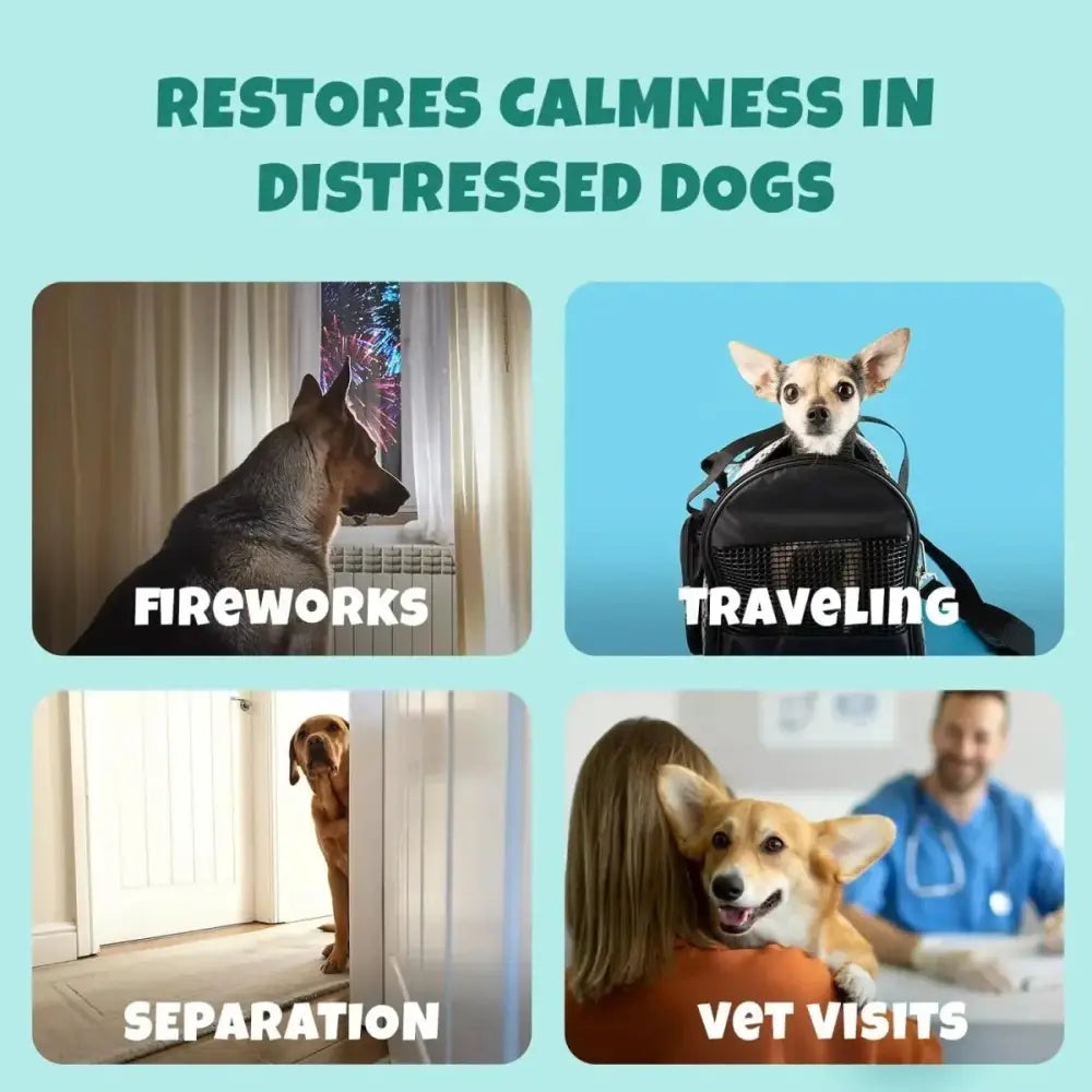 PETIPET Calming Bites with Melatonin + Chamomile Apple & Carrot Flavored Soft Chew Calming Supplement for Dogs 7oz - Talis Us