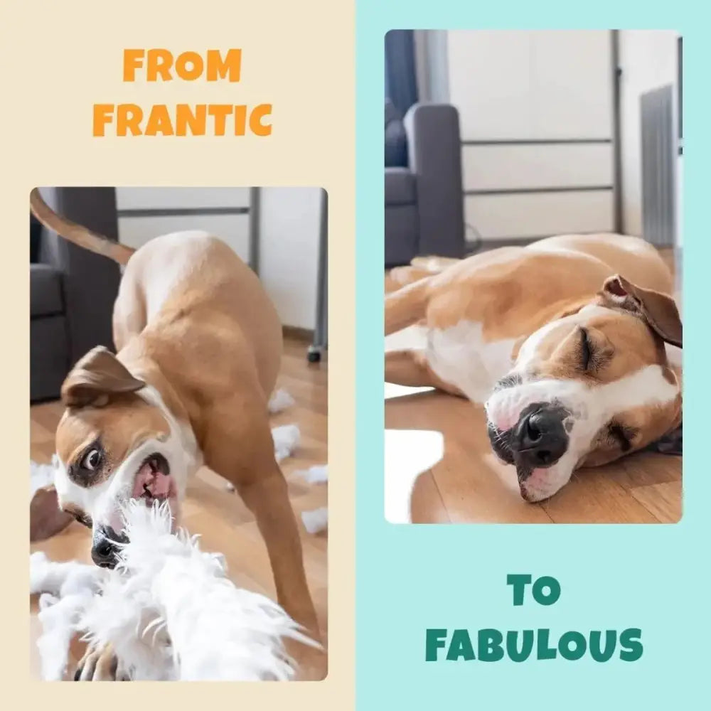 PETIPET Calming Bites with Melatonin + Chamomile Apple & Carrot Flavored Soft Chew Calming Supplement for Dogs 7oz - Talis Us