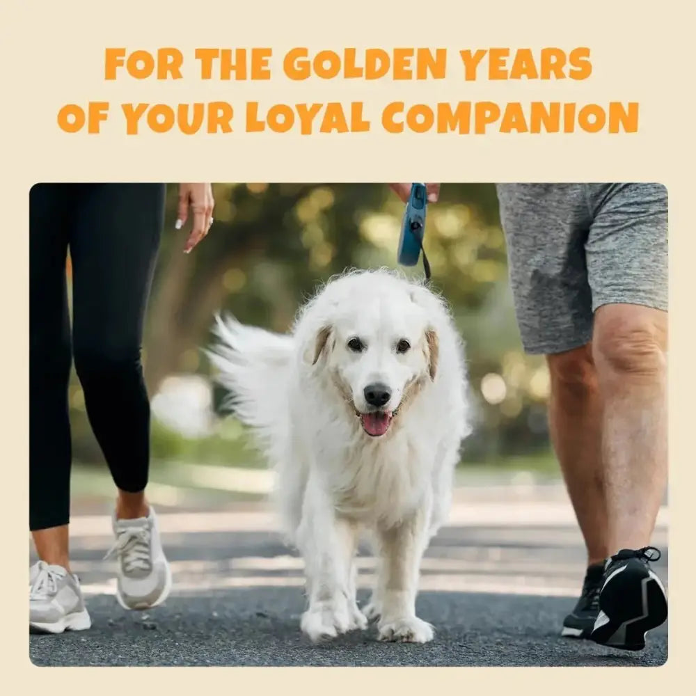 PETIPET Mobility Bites with Glucosamine + Turmeric Apple & Carrot Flavored Soft Chew Hip & Joint Supplement for Dogs 7oz - Talis Us