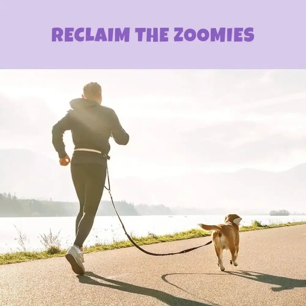 PETIPET Mobility Bites with Glucosamine + Turmeric Apple & Carrot Flavored Soft Chew Hip & Joint Supplement for Dogs 7oz - Talis Us