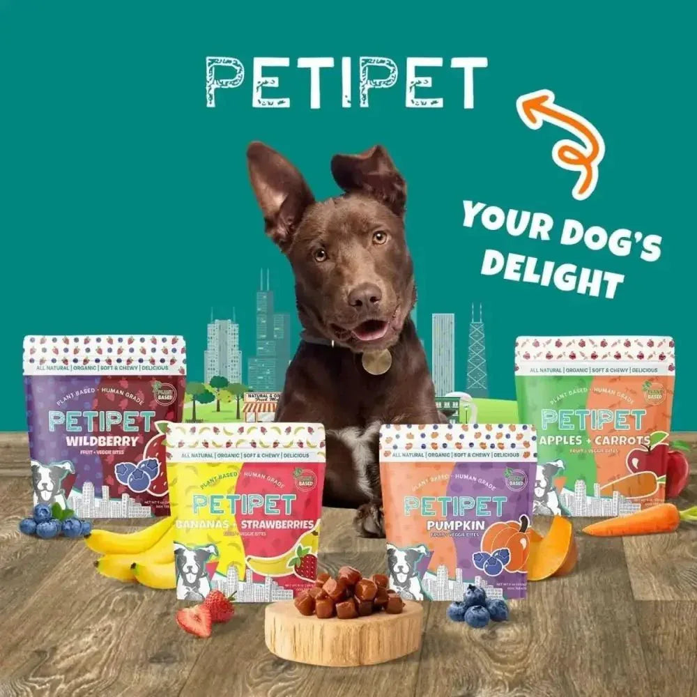 PETIPET Pumpkin Fruit + Veggie Bites Gluten - Free Adult Soft & Chewy Dog Treats 5oz - Talis Us