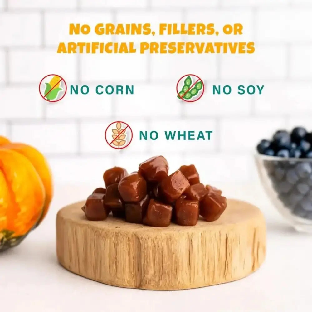 PETIPET Pumpkin Fruit + Veggie Bites Gluten - Free Adult Soft & Chewy Dog Treats 5oz - Talis Us