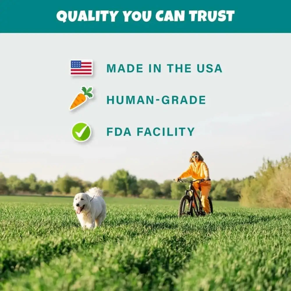 PETIPET Pumpkin Fruit + Veggie Bites Gluten - Free Adult Soft & Chewy Dog Treats 5oz - Talis Us