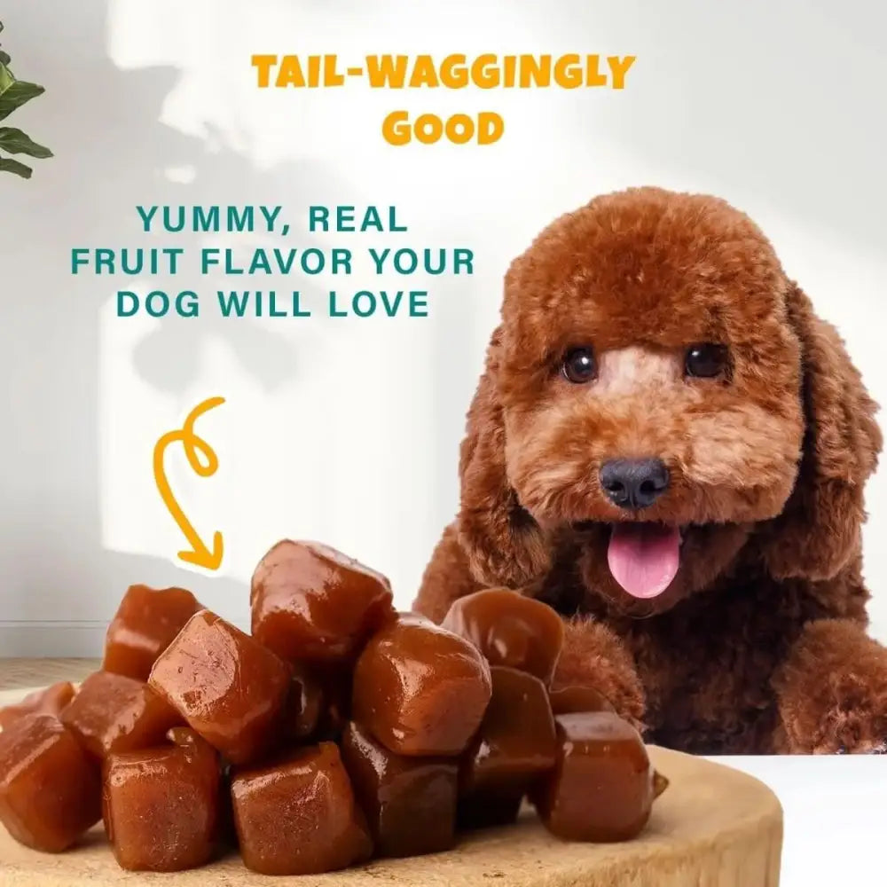 PETIPET Pumpkin Fruit + Veggie Bites Gluten - Free Adult Soft & Chewy Dog Treats 5oz - Talis Us