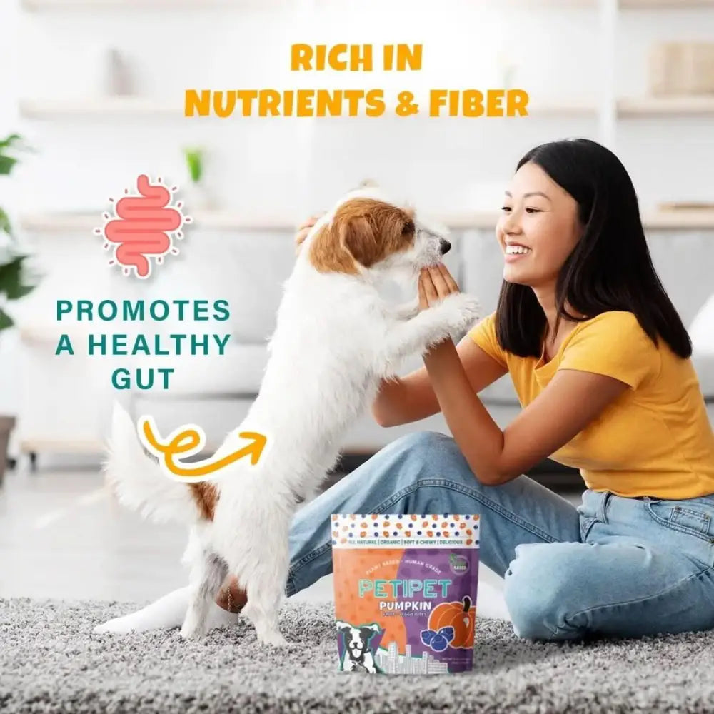 PETIPET Pumpkin Fruit + Veggie Bites Gluten - Free Adult Soft & Chewy Dog Treats 5oz - Talis Us
