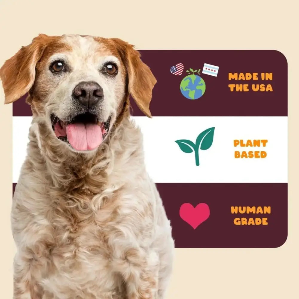 PETIPET Turmeric Bites + Curcumin Apple & Carrot Flavored Soft Chew Anti - Inflammatory Supplement for Dogs 7oz - Talis Us