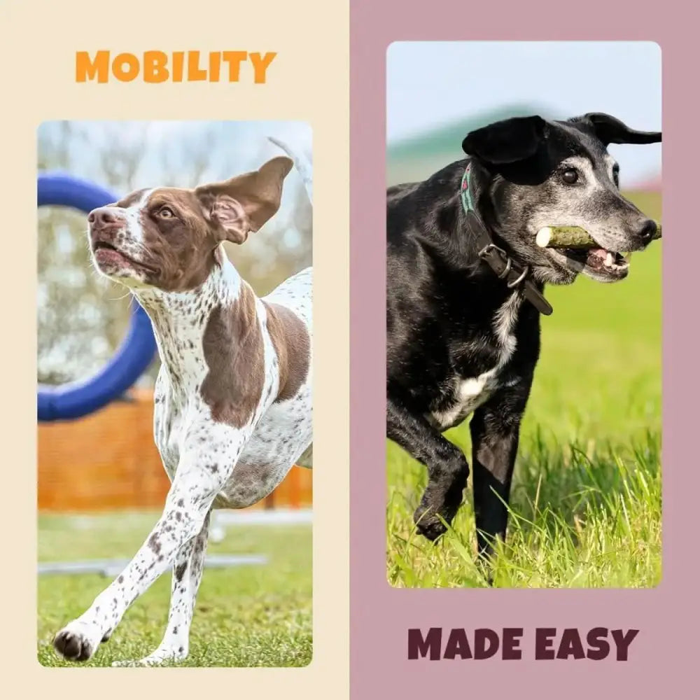 PETIPET Turmeric Bites + Curcumin Apple & Carrot Flavored Soft Chew Anti - Inflammatory Supplement for Dogs 7oz - Talis Us