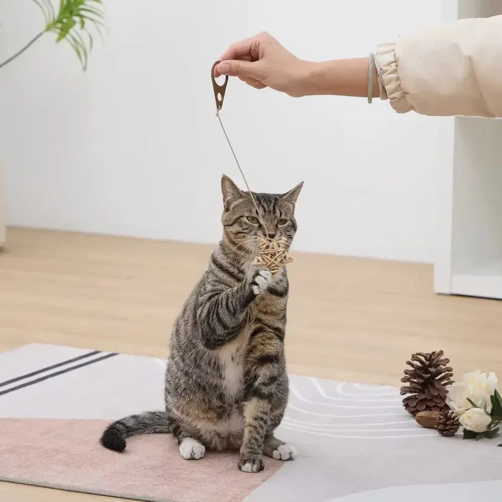 PetPals Wicker Rattan Cat Toys for Playful Kittens - Talis Us